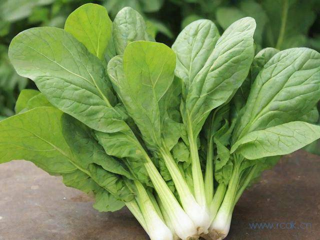 浇菜的酵素怎么做,酵素浇菜怎么配比