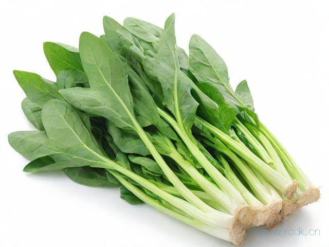 枸杞菜怎么保存,枸杞菜怎么保存最好