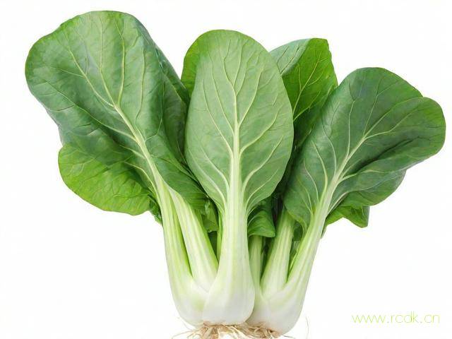 儿菜怎么挑选,儿菜怎么挑选新鲜的