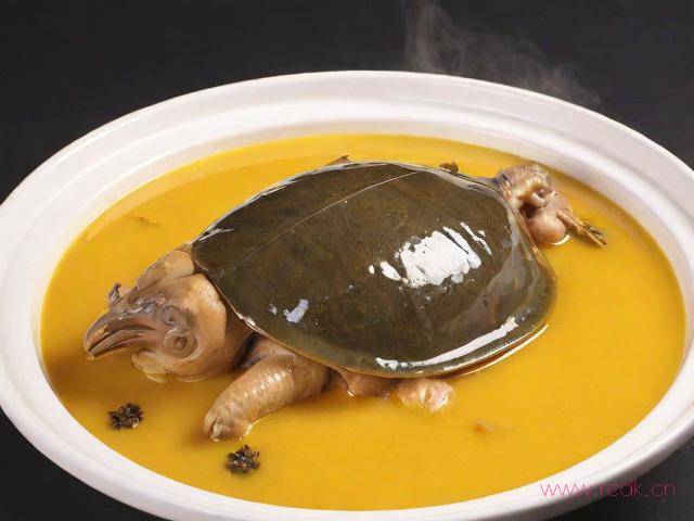 菜怎么做的视频,霸王别姬这道菜怎么做的视频