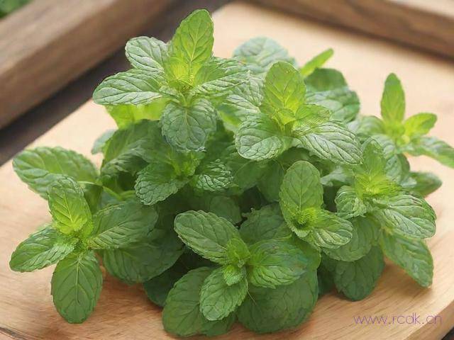 扎扎菜怎么吃有什么作用,扎扎菜学名叫什么