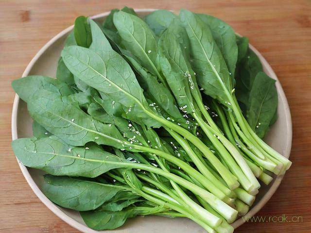 苦荬菜怎么吃,苦荬菜吃多少合适