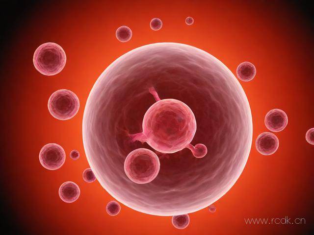 伤寒病是怎么引起的,伤寒症是怎么引起的