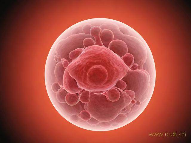 伤寒病是怎么引起的,伤寒症是怎么引起的