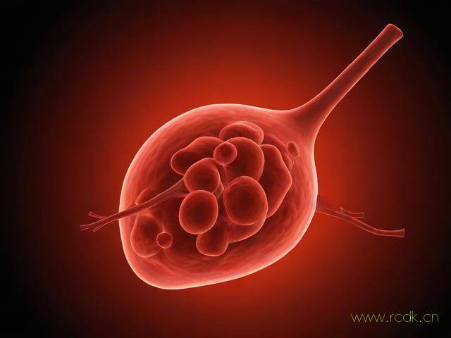 艾滋病会怎么得,艾滋病怎样会得病