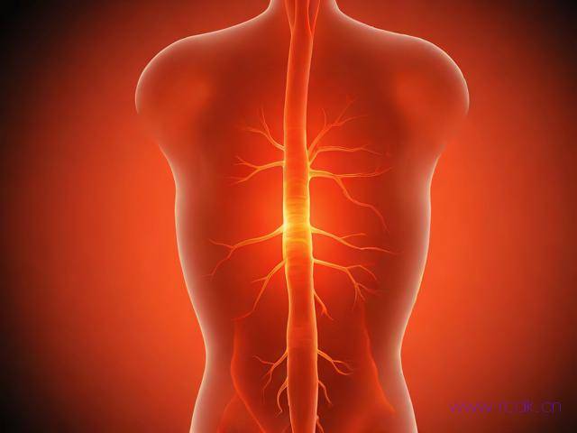 肾虚引起的颈椎病怎么治,肾虚引起的颈椎病怎么治疗