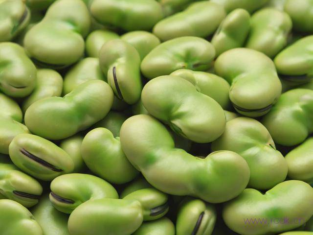 蚕豆病怎么引起的,蚕豆病怎么形成的