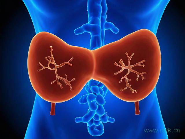 肝囊肿是怎么得来的病,肝囊肿是如何引起的?怎么治疗?