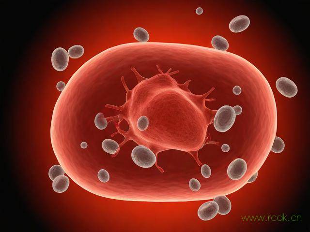 血液病怎么引起的,血液病咋得的