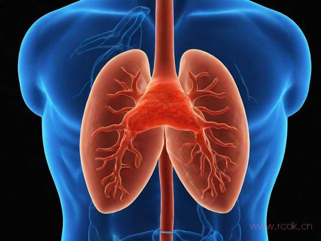 肠外阿米巴病怎么感染,肠外阿米巴病可查到阿米巴的哪一阶段