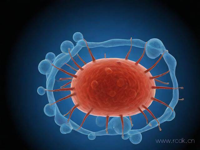 吸虫病怎么治疗最好,什么叫吸虫病